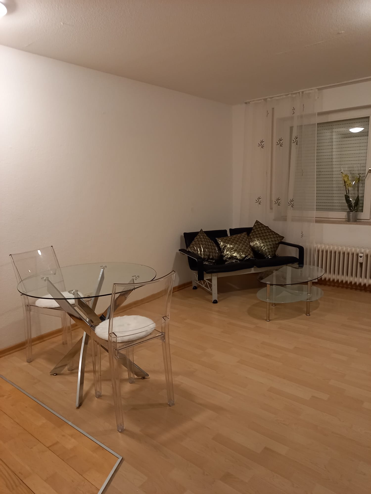 Studio zur Miete 490 € 1 Zimmer 29 m²<br/>Wohnfläche EG<br/>Geschoss Moltkestr Derendingen - Derendinger Str. Tübingen 72072