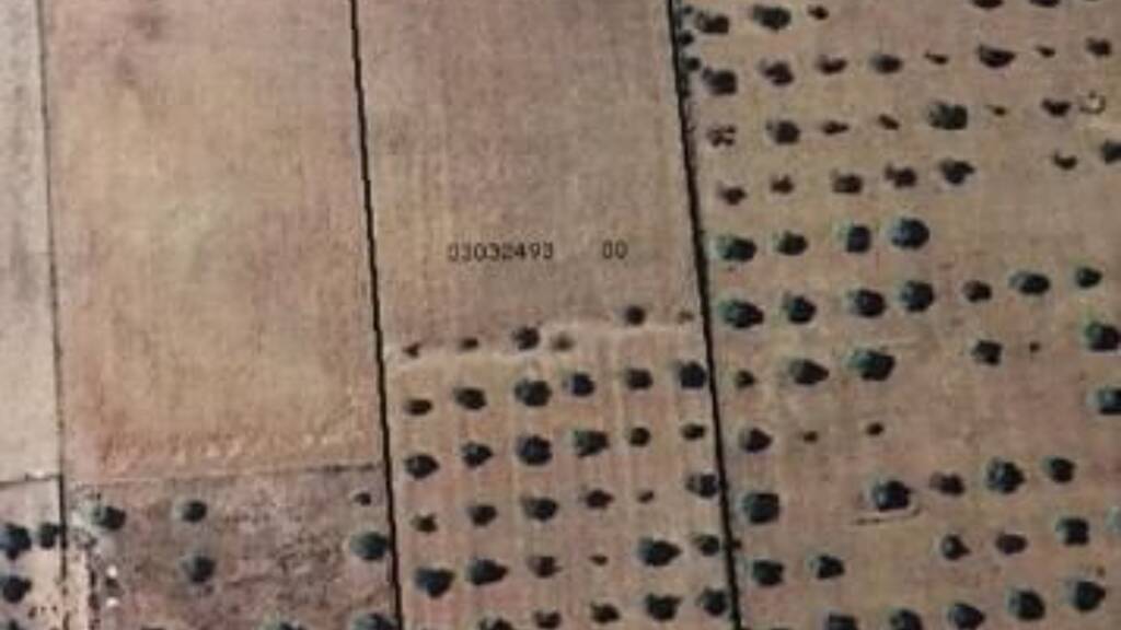 Haus zum Kauf 180.000 € 3 Zimmer 22.169 m² Grundstück Porto Cristo