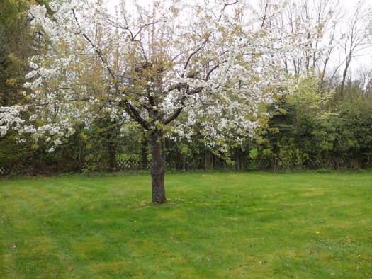 Einfamilienhaus zum Kauf 210.000 € 4 Zimmer 92 m² 1.080 m² Grundstück Norken 57629