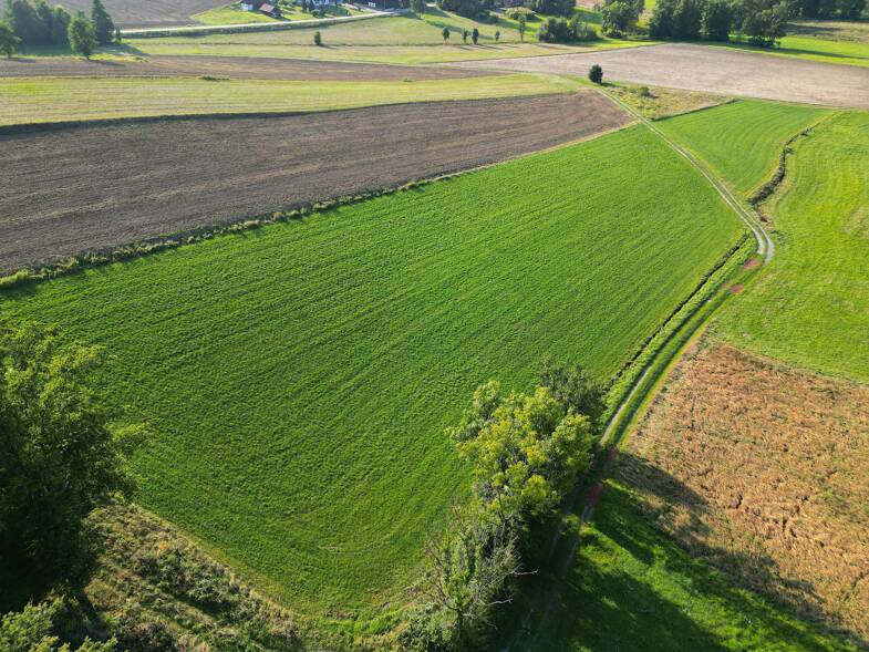 Land/Forstwirtschaft kaufen in Beutelsbach immowelt