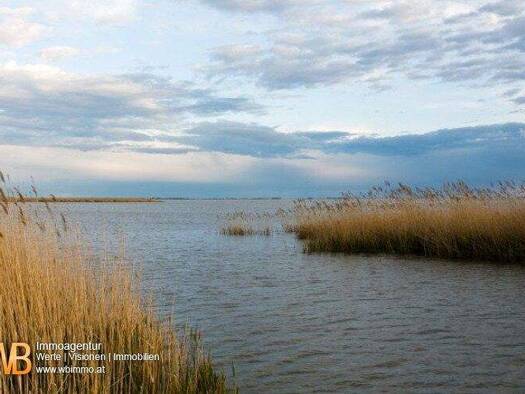 Land-/Forstwirtschaft zum Kauf 52.500 € 73.017 m² Grundstück Mörbisch am See 7072