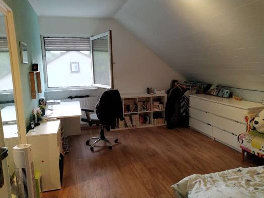 Einfamilienhaus zum Kauf 435.000 € 9 Zimmer 245 m² 1.051 m² Grundstück Reichenberg 56357
