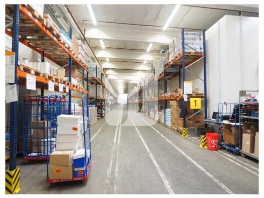Lagerhalle zur Miete 7.400 m² Lagerfläche Schenefeld 22869