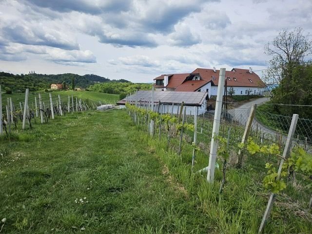 Weingut zum Kauf 1.980.000 € 470 m²<br/>Fläche 22.245 m²<br/>Grundstück Ottenberg Gamlitz 8461