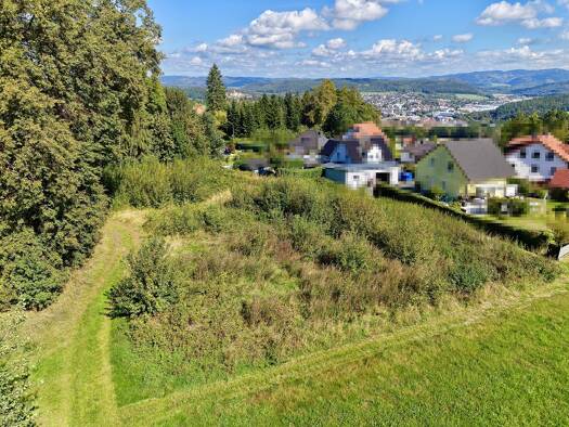 Grundstück zum Kauf 139.000 € 2.948 m² Grundstück Ziegelerden Kronach 96317
