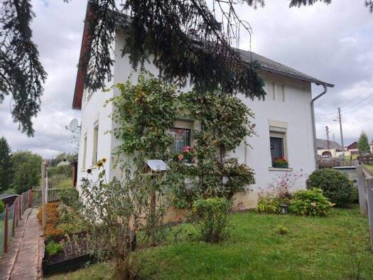 Einfamilienhaus zum Kauf 29.000 € 4 Zimmer 80 m² 220 m² Grundstück Rudelswalde Crimmitschau 08451