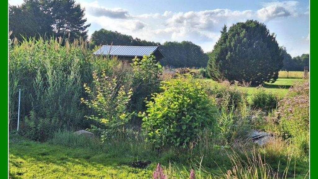 Bauernhaus zum Kauf 390.000 € 6 Zimmer 145 m² 3.623 m² Grundstück Grafelde Halbe-Nähe 15757