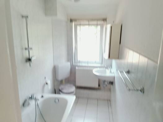 Wohnung zur Miete 400 € 3 Zimmer 65 m² EG frei ab sofort Wieda 37447