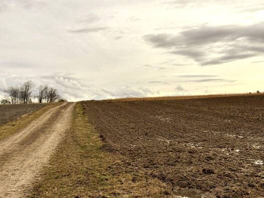 Land-/Forstwirtschaft zum Kauf 373.050 € 20.725 m² Grundstück Oberlauterbach Pfeffenhausen / Oberlauterbach 84076