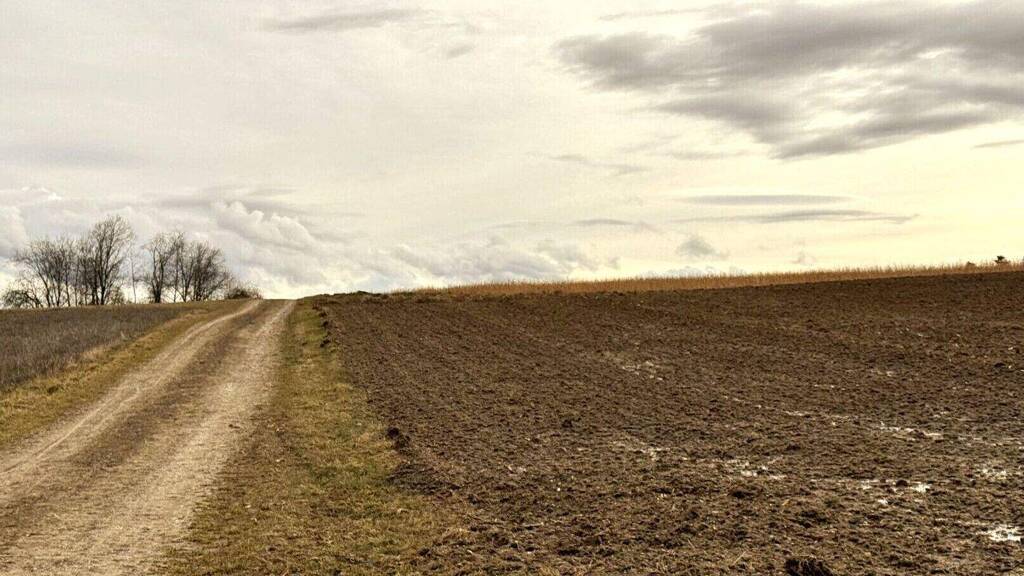 Land-/Forstwirtschaft zum Kauf 373.050 € 20.725 m² Grundstück Oberlauterbach Pfeffenhausen / Oberlauterbach 84076