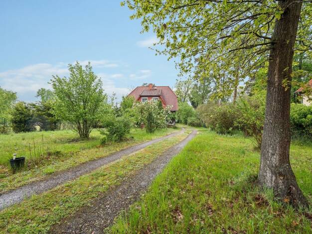 Einfamilienhaus zum Kauf 440.000 € 4 Zimmer 135 m² 3.200 m² Grundstück Gifhorn Gifhorn 38518