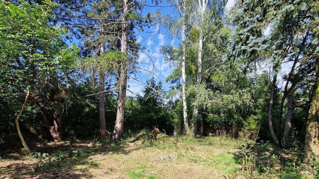 Grundstück zum Kauf 170.000 € 705 m² Grundstück Pohrtsche Siedlung Petershagen/Eggersdorf 15345