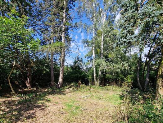 Grundstück zum Kauf 170.000 € 705 m² Grundstück Pohrtsche Siedlung Petershagen/Eggersdorf 15345