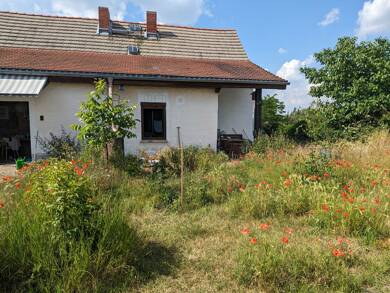 Bauernhaus zum Kauf 44.000 € 2 Zimmer 73 m² 427 m² Grundstück Lebendorf Könnern, OT Lebendorf 06420