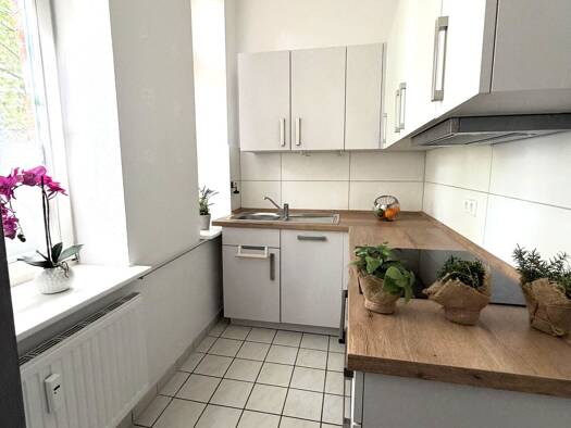 Wohnung zur Miete 530 € 3 Zimmer 53,3 m² 1. Geschoss An der Elbe 3 Buckau Magdeburg 39104