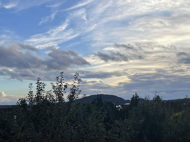 Wohnung zum Kauf provisionsfrei 197.000 € 3 Zimmer 72 m² 1. Geschoss frei ab 01.06.2026 Korbach 34497