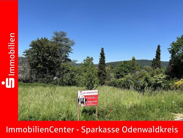 Grundstück zum Kauf 281.875 € 1.375 m² Grundstück frei ab sofort Höchst Höchst i. Odw. 64739