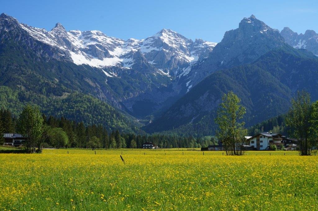 Grundstück zum Kauf 1.180.000 € 1.000 m²<br/>Grundstück St. Johann in Tirol 6380