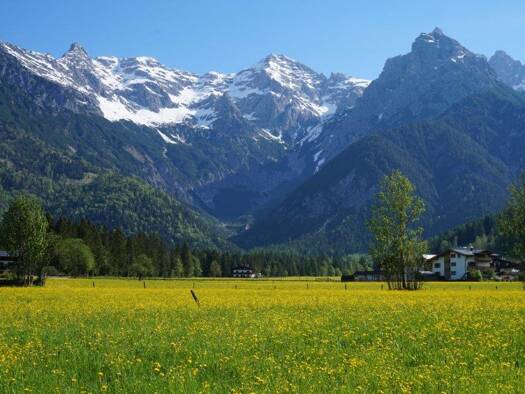 Grundstück zum Kauf 1.180.000 € 1.000 m² Grundstück St. Johann in Tirol 6380