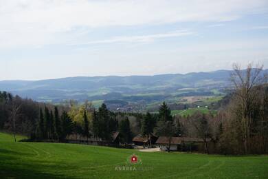 Haus zum Kauf 550.000 € 14 Zimmer 450 m² 12.946 m² Grundstück Denkzell Konzell 94357