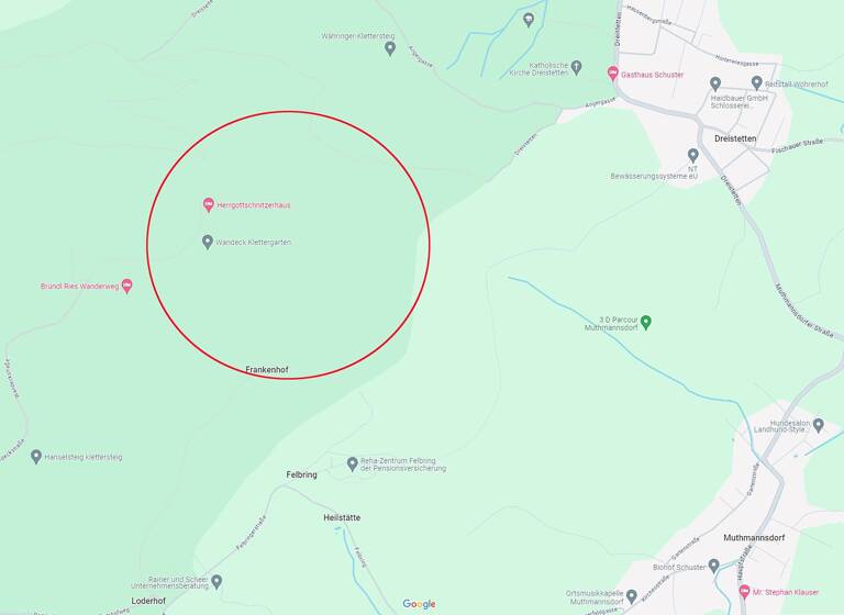 Haus zum Kauf 690.000 € 400 m² 2.424 m² Grundstück Hohe Wand 2724