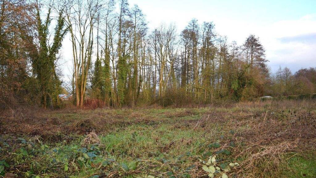 Grundstück zum Kauf 221.730 € 778 m² Grundstück Breyell Nettetal 41334