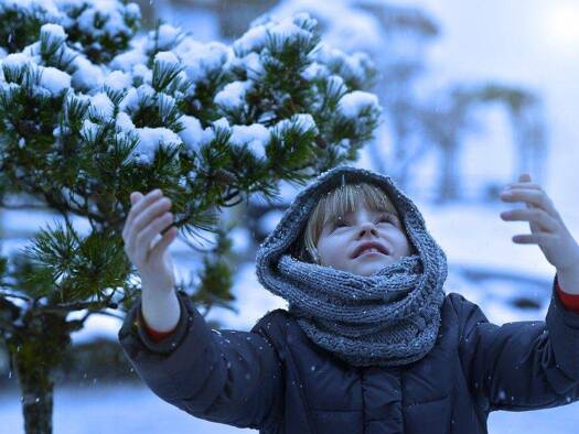 Einfamilienhaus zum Kauf 988.740 € 5 Zimmer 170 m² 1.100 m² Grundstück Eidelstedt Hamburg 22523