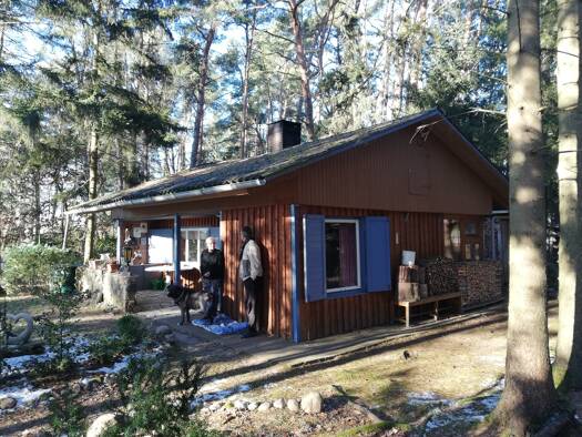 Haus zum Kauf 69.000 € 3 Zimmer 40 m² 1.733 m² Grundstück frei ab sofort Bargdorf Bienenbüttel 29553