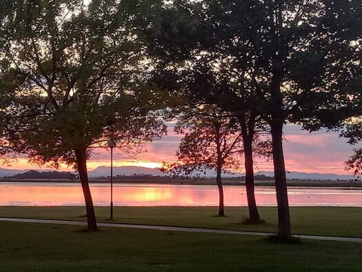 Gastronomie/Hotel zum Kauf 1.590.000 € 6.569 m² Grundstück Sankt Andrä am Zicksee 7161