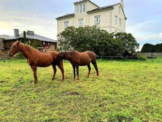 Acker-/Waldstück zum Kauf 95.000 € Casa Calvario Tapia de Casariego 33746