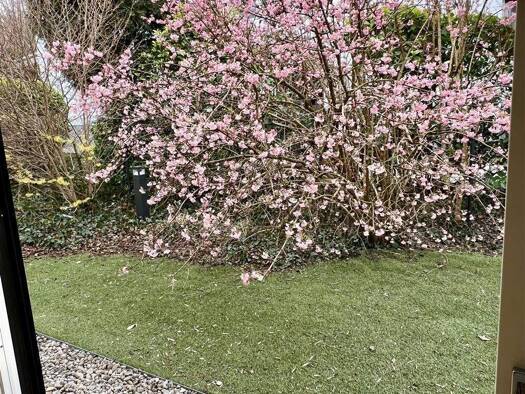 Wohnung zur Miete 3.000 € 2 Zimmer 92 m² EG frei ab 10.04.2026 Bogenhausen München 81925