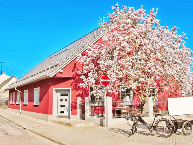 Einfamilienhaus zum Kauf 280.000 € 7 Zimmer 250 m² 937 m² Grundstück Coswig Coswig (Anhalt) 06869