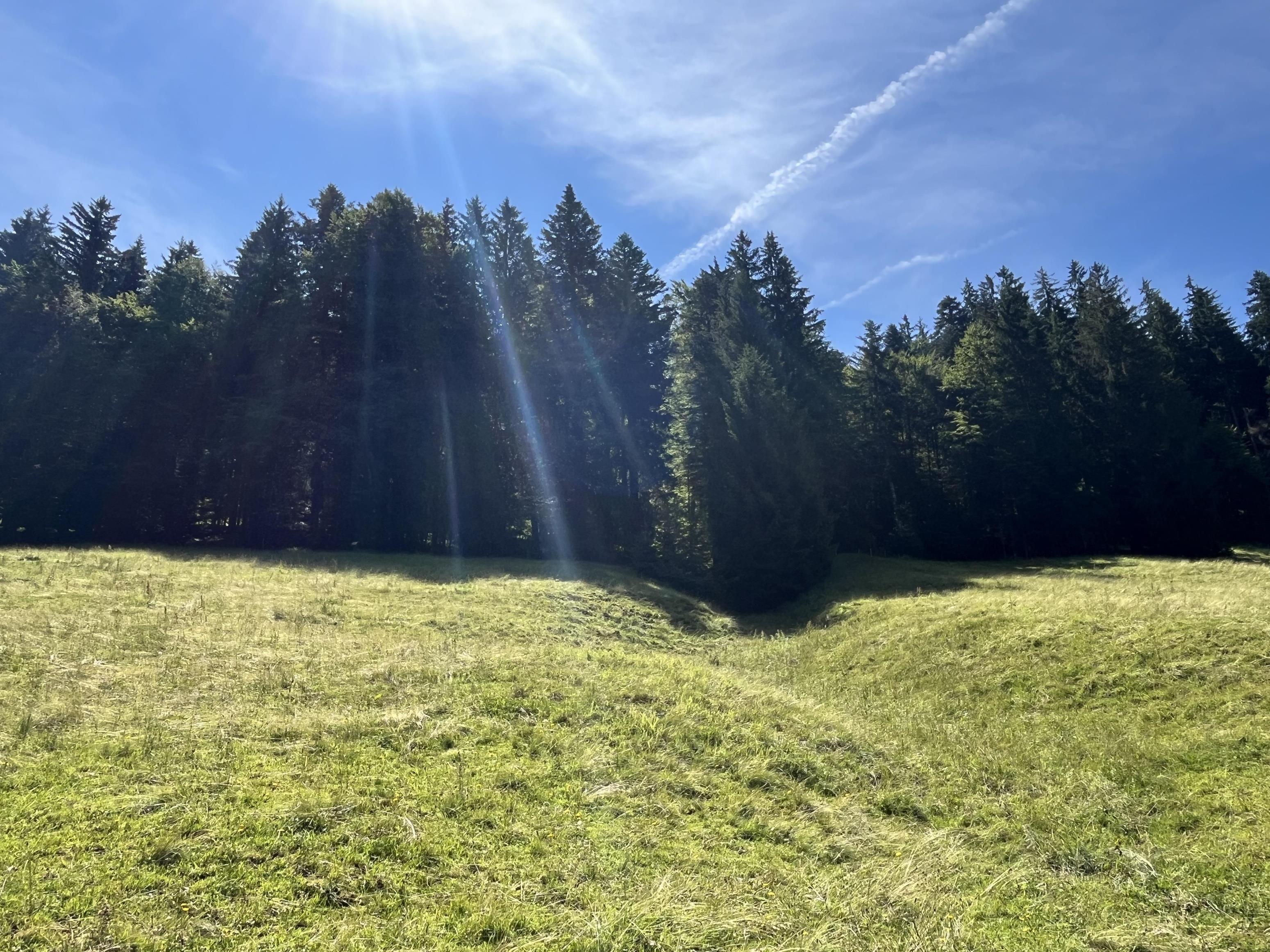 Land-/Forstwirtschaft zum Kauf 62.000 € 15.540 m²<br/>Grundstück Forst Oberstaufen 87534