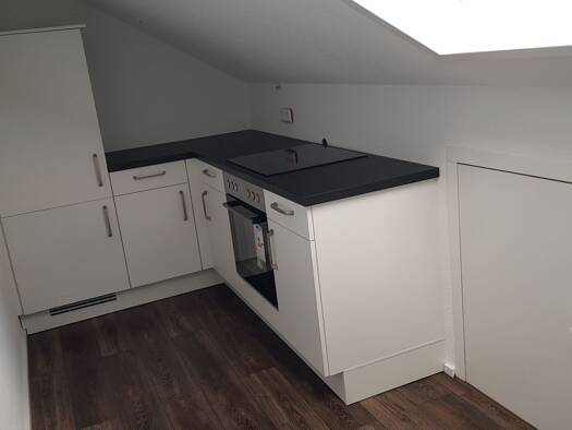Wohnung zur Miete 650 € 3 Zimmer 46 m² Geschoss 2/2 frei ab sofort Singen Singen (Hohentwiel) 78224