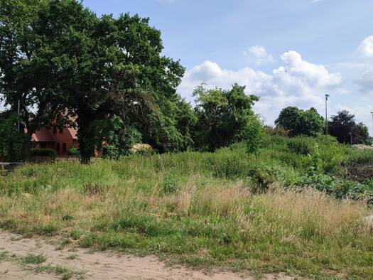 Grundstück zum Kauf 195.000 € 2.427 m² Grundstück Wendenborstel Steimbke 31634