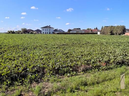 Grundstück zum Kauf 72.500 € 580 m² Grundstück Rottmersleben 39343