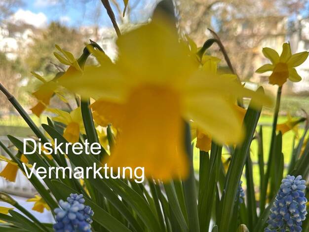 Stadthaus zum Kauf 14 Zimmer 572 m² 678 m² Grundstück Harvestehude Hamburg 20149