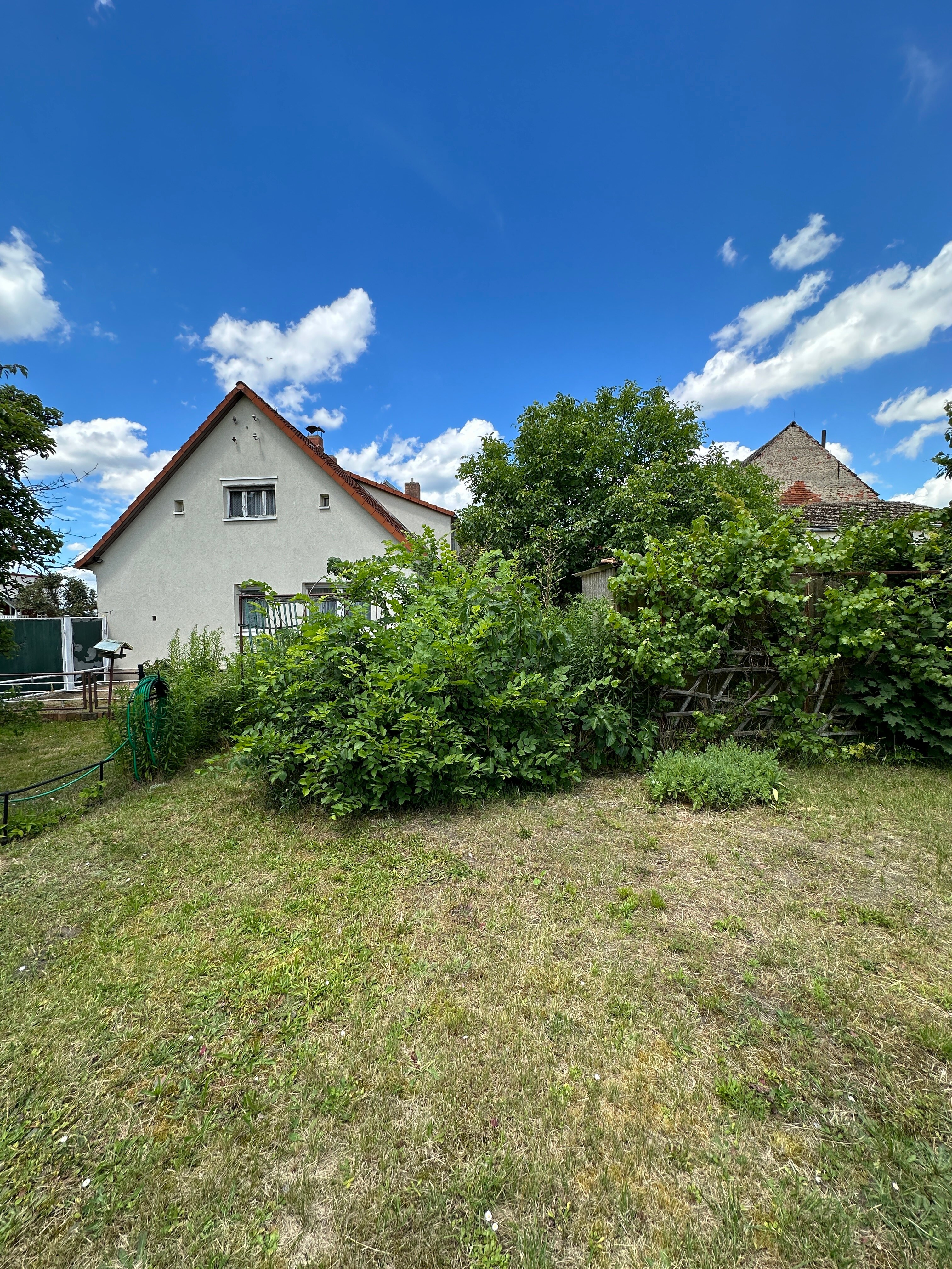 Einfamilienhaus zum Kauf 53.000 € 5 Zimmer 100 m²<br/>Wohnfläche 790 m²<br/>Grundstück Döllingen Plessa 04928