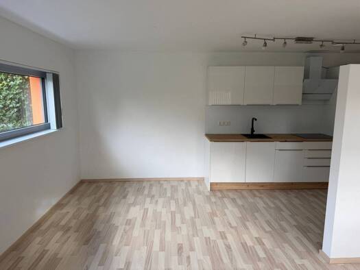 Wohnung zur Miete 325 € 1 Zimmer 37 m² Geschoss -1/3 frei ab sofort Hardt 78739
