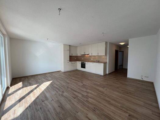 Terrassenwohnung zur Miete 1.050 € 2,5 Zimmer 67,6 m² EG Eschenstraße Waldshut Waldshut-Tiengen 79761