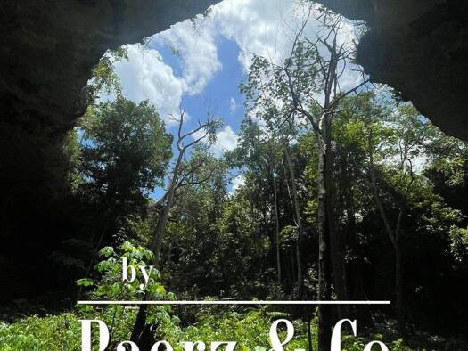 Haus zum Kauf 4.333.000 $ 330.000 m² Grundstück sagrado - valladolid valladolid