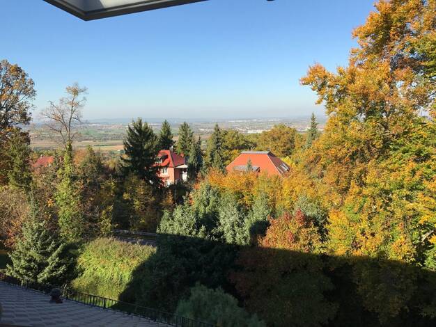Reihenendhaus zum Kauf 895.000 € 7 Zimmer 217,5 m² 450 m² Grundstück frei ab 01.01.2026 Gerlingen 70839