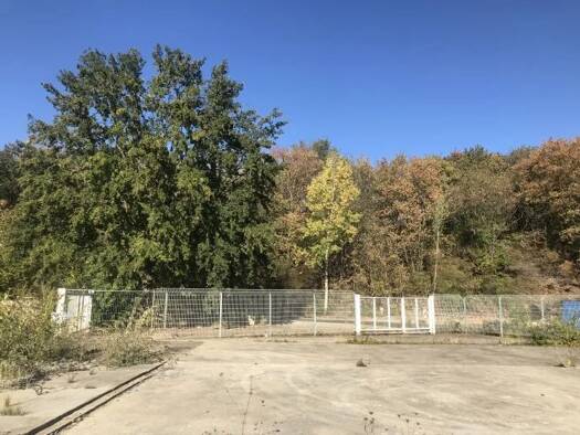 Gewerbegrundstück zur Miete provisionsfrei 2,90 € 1.000 m² Grundstück Brühler Str. 40 Liblar Erftstadt 50374