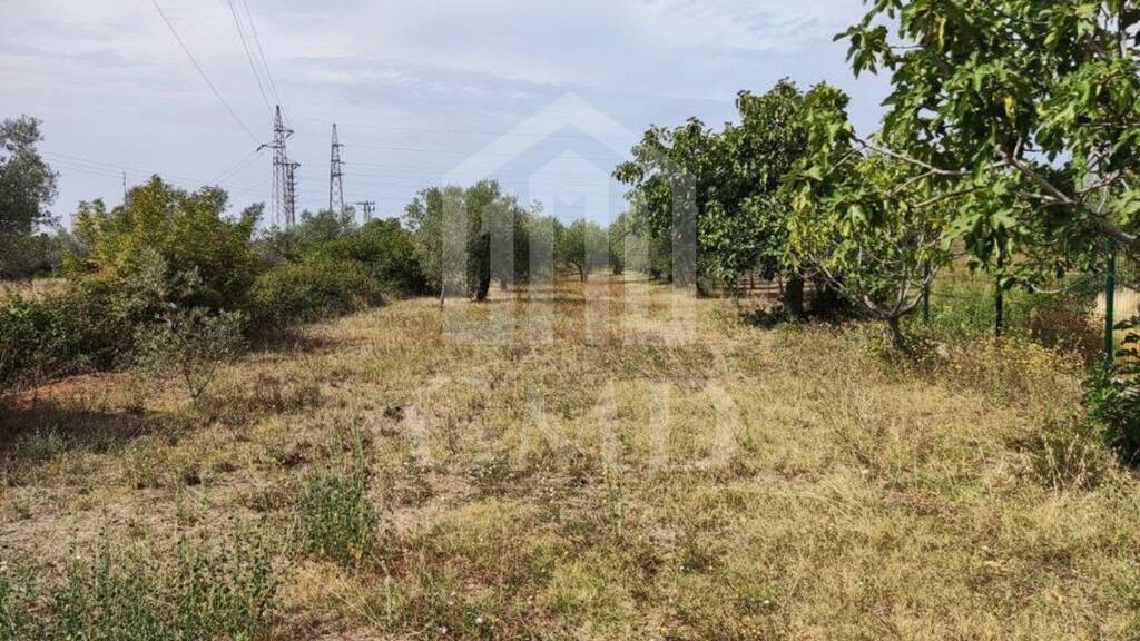 Land-/Forstwirtschaft zum Kauf 70.000 € Fazana