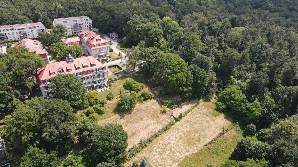 Grundstück zum Kauf provisionsfrei 960.000 € 1.750 m² Grundstück Baugenehmigung vorhanden Loschwitz/Wachwitz Dresden 01326