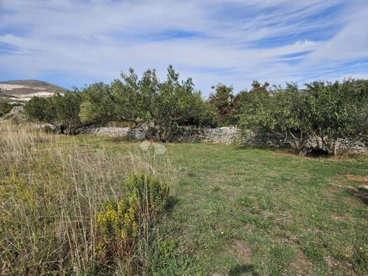 Acker-/Waldstück zum Kauf 120.000 € Plano, Trogir - Okolica Trogir 21220