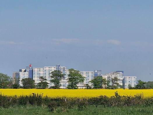 Wohnung zum Kauf 99.000 € 1,5 Zimmer 39 m² Ortsteil Ostsee-Ferienpark Heiligenhafen 23774