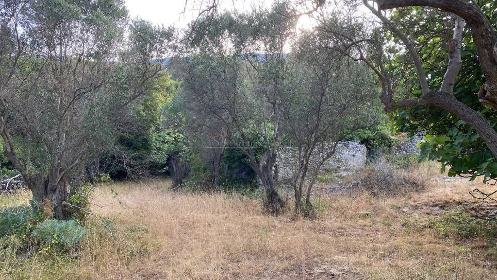 Land-/Forstwirtschaft zum Kauf 450.000 € Mali Losinj