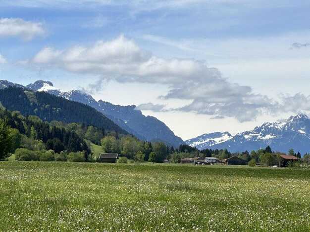 Doppelhaushälfte zum Kauf provisionsfrei 499.989 € 3 Zimmer 85 m² 680 m² Grundstück Trauchgau Halblech 87642