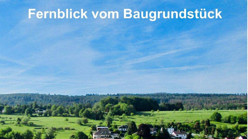 Grundstück zum Kauf provisionsfrei 220.000 € 290 m² Grundstück Niedernhausen 65527